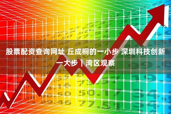 股票配资查询网址 丘成桐的一小步 深圳科技创新一大步｜湾区观察