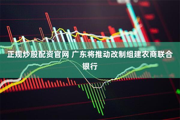 正规炒股配资官网 广东将推动改制组建农商联合银行